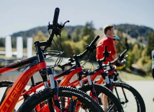 Bike rental