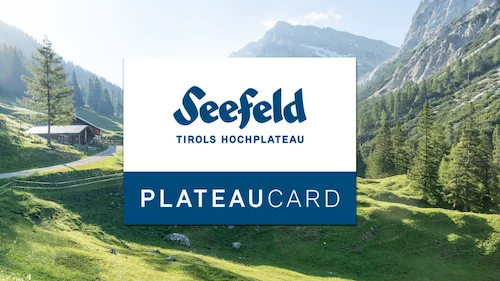 GuestCard