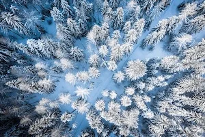 Kategorie Bild Müsst ihr hin!