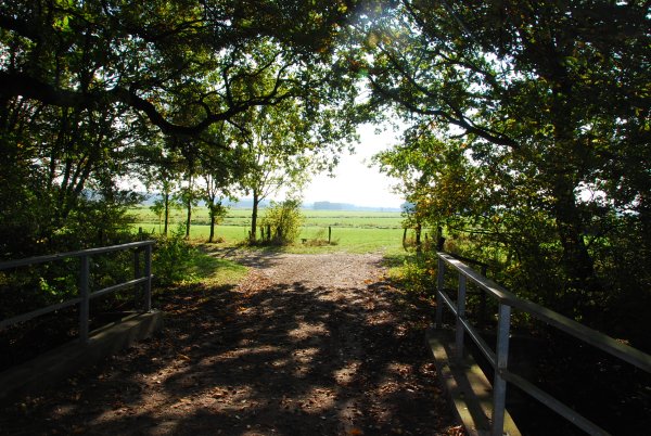 Moorhennies Pfad Süd-Rundweg