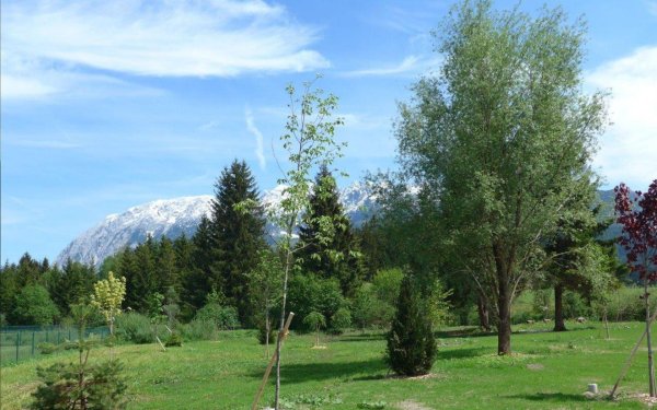 Barfußpark & Baumlehrpfad mit Kneippanlage