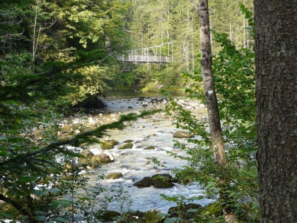 Koppentalweg - Weg durch die Wildnis