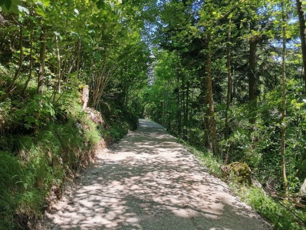 Biketour: Themenweg Augstbach