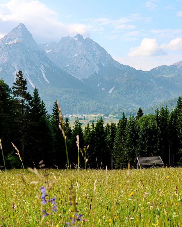 TVB Natur Sommer 57.jpg