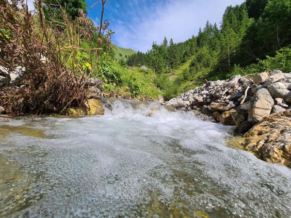 TVB Natur Sommer 108.jpg