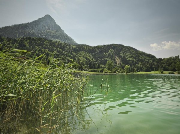 Ansicht Thiersee mit Pendling