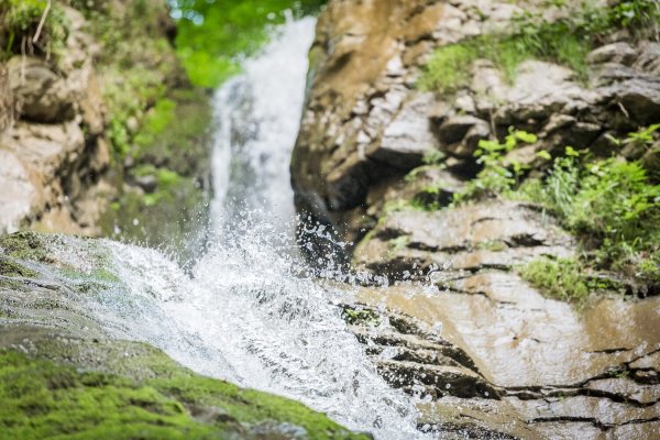Walk to the Bucher Waterfall