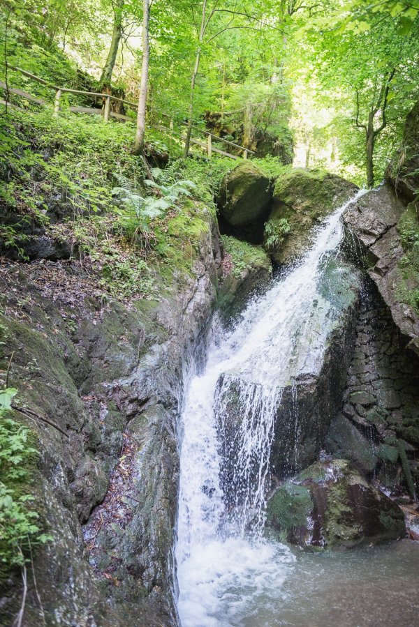 Walk to the Bucher Waterfall