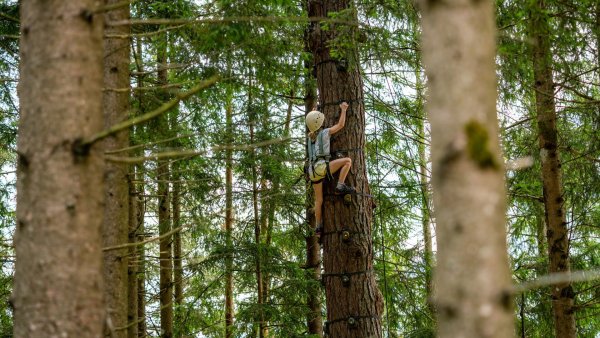 auf den Baum klettern wie ein Äffchen - Kletterspaß im Abenteuerpark Achensee