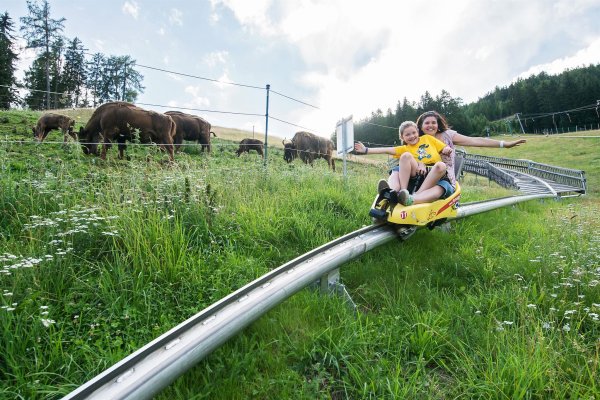 Summer toboggan run Assling