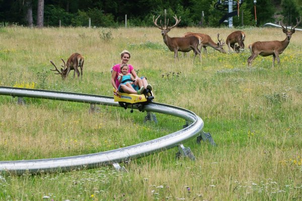 Sommerrodelbahn3