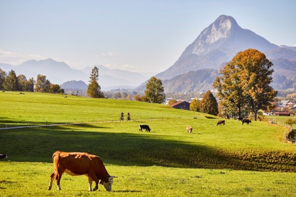 Kufsteinerland_Kaiserradrunde_Wilder Kaiser