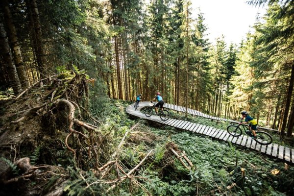 Harschbichl Trail Region St. Johann in Tirol