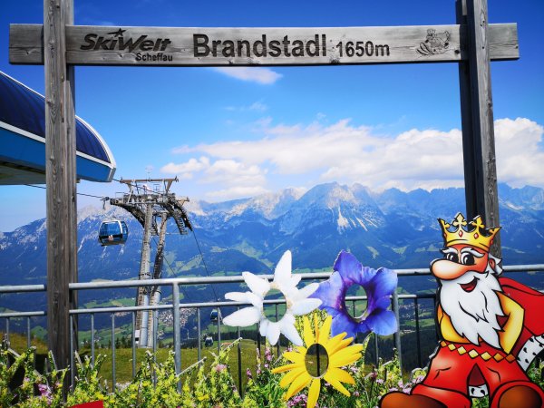 Scheffau Brandstadl Bergstation Panaorama