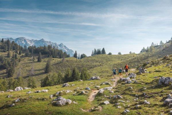 Scheffau_Steinbergalm_Wilder Kaiser