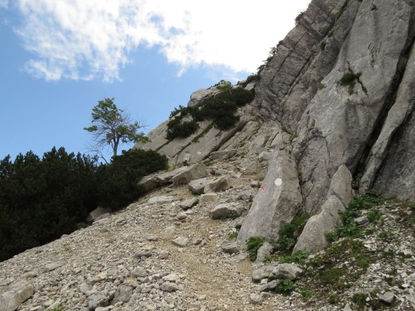 Scheffau_Widauersteig_Wilder Kaiser