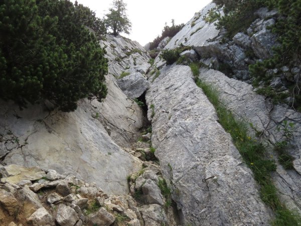Scheffau_Widauersteig_Wilder Kaiser