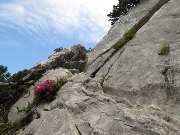 Scheffau_Widauersteig_Wilder Kaiser