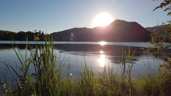 Kössen - Bichlach - Walchsee 