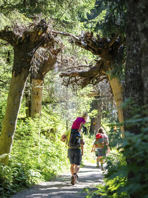 Wald