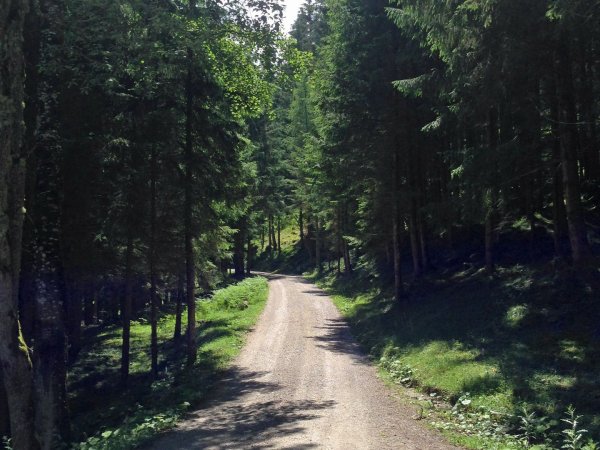 Kohlerkapelle-Flaurlinger Alm (5055)