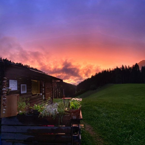 Ausblick