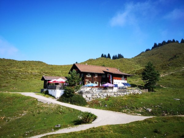 Scheffau_Walleralm_Herbst_Wilder Kaiser