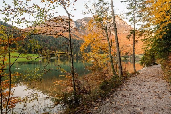 Scheffau_Hintersteiner See_Herbst_Wilder Kaiser