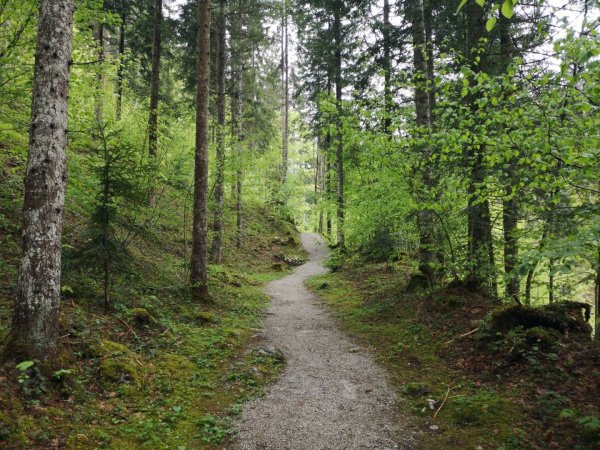 Scheffau_Kneipprundweg_Wilder Kaiser