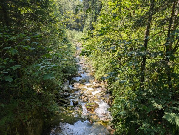 Scheffau_Kneippweg_Trattenbach_Sommer