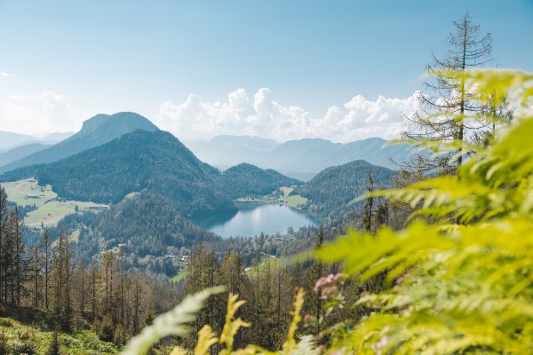 Scheffau_Steiner-Hochalm_Ausblick Hintersteiner See_Wilder Kaiser