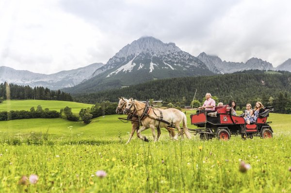 Ellmau_Kutschenfahrt Sommer 2_Wilder Kaiser