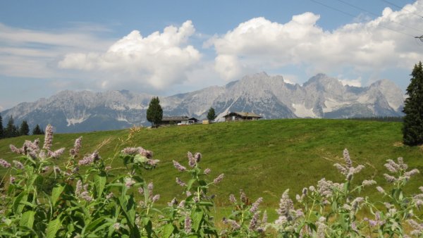 Ellmau_11er-Kaiserblick-Runde_Wilder Kaiser