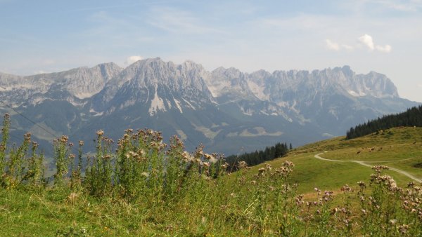 Ellmau_11er-Kaiserblick-Runde_Wilder Kaiser