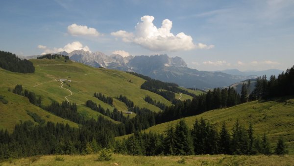 Ellmau_11er-Kaiserblick-Runde_Wilder Kaiser