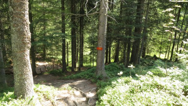 Ellmau_11er-Kaiserblick-Runde_Wilder Kaiser