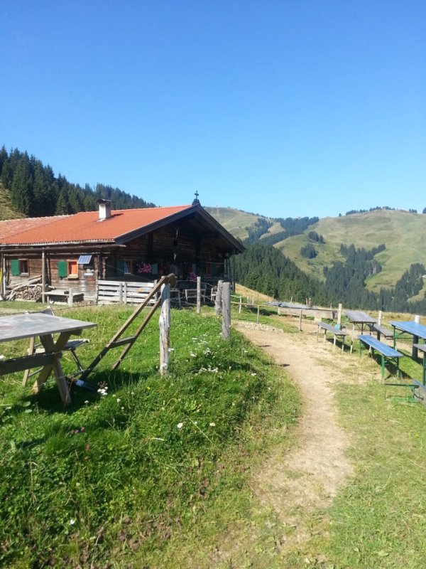 Elferweg