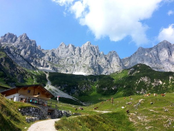Going_Obere Regalm_Wilder Kaiser