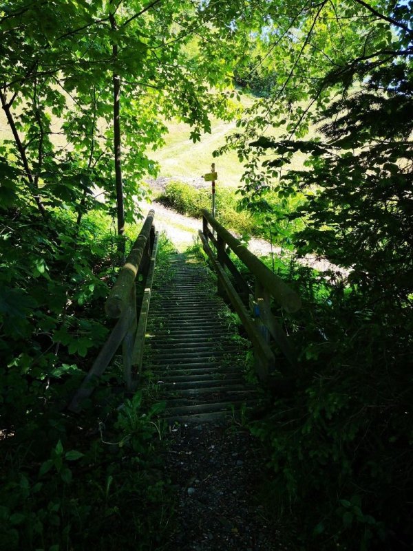 Gasthäusl zum Schoner - Gasthof Baumannwiesköpfl