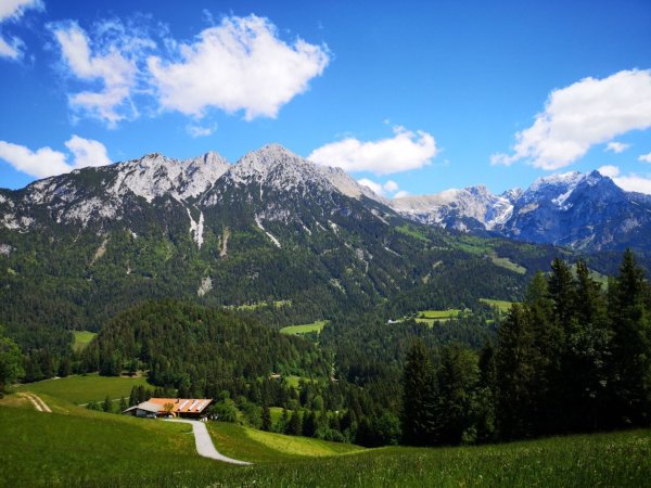 Scheffau_Greidern_Schupfen_Wilder Kaiser