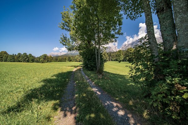 Wilder_Kaiser_Going_Landschaft-Wandern_Sommer2022_Emanuel Adensam (53)_1280px.jpg