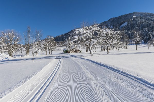 Söll_Schattseitloipe_Wilder Kaiser