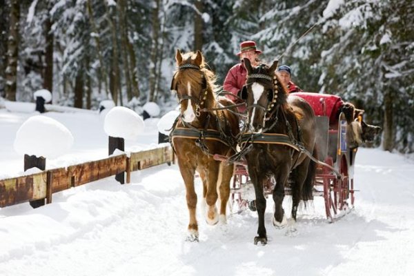 Söll_Kutschenfahrten Weiss_Wilder Kaiser