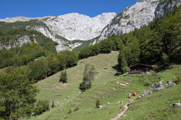 Scheffau_Zustieg Klettergebiet Multerkar/Treffauer_Wegscheid-Hochalm_Wilder Kaiser
