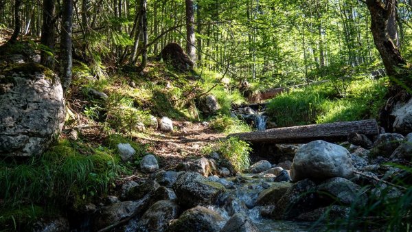 Ellmau_Spatlahner-Klamm_Wilder Kaiser