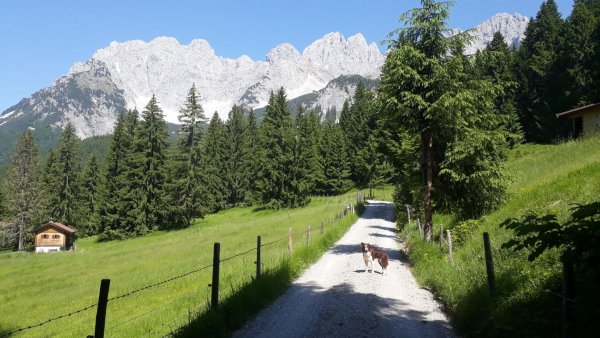 Going_Märchenwiese_Wilder Kaiser