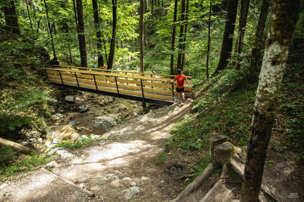 Scheffau_Rehbachklamm_Brücke_Sommer