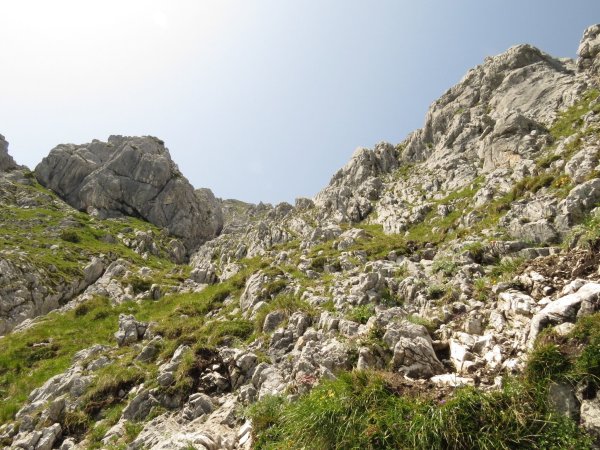 Scheffau_Aufstieg Scheffauer_Wilder Kaiser