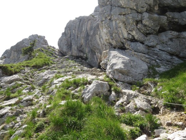 Scheffau_Aufstieg Scheffauer_Wasserloch_Wilder Kaiser
