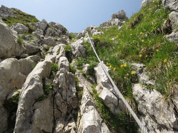 Scheffau_Aufstieg Scheffauer_Wilder Kaiser